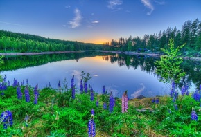 �����, ����, �����