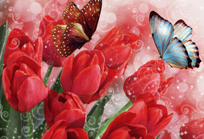 ��������, �������, �������, �������