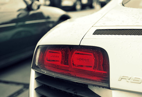 ����, audi, r8