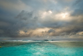 ����, �����