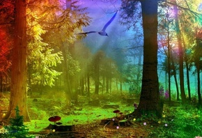 ���, ����, ����������