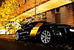 audi, r8