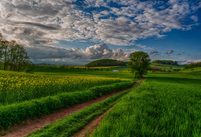 �������, ����, ����, ����, �����, ������, �������, �����, ������