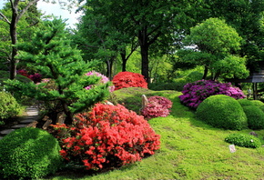 ��������, ��������