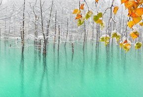 ���������, �������, ����, ������, �������, �����