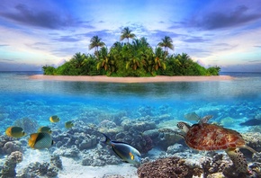 природа, остров, океан, небо, джунгли, рыба, черепаха, морское, дно, фотошо ...
