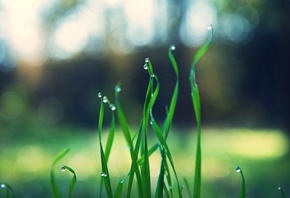 �����, ����, �������, ����, �������, ���, ������, �����