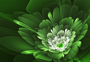 ����������, �������, ������, �����, ���