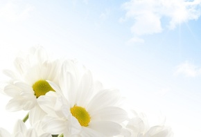 �����, ����, ������