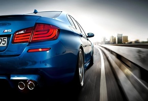 ����, ������