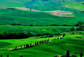 тоскана, Италия, природа, поля, дорога, деревья, зеленый