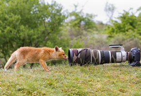 �������, ���������, �������, ���, �����, ���, �������