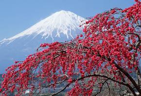 ������, �����, �������, ����, ������, ������, ����, ����, �����, ����, �����