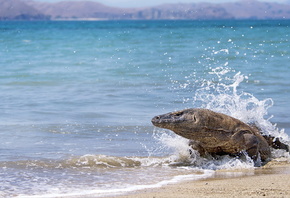 �����, ����, ����, ����, ����, �������, �����, �����