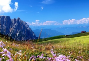 горы, луга, цветы, долина, небо, весна
