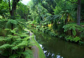 парк, Португалия, природа, деревья, зелень, река, канал, ставок, дорожка, цветы