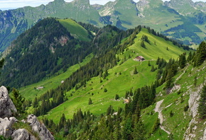 switzerland, лес, швейцария, gastlosen, горы, пейзаж