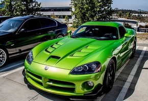 dodge, viper, vemon, , , , 