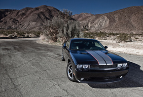 DODGE, ����, CHALLENGER, ������, ������, �������