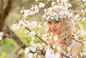 �������, ���������, �����, �����, ������, �������