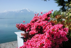 ������, ���������, �����, ����, �����, �����, ����, �����