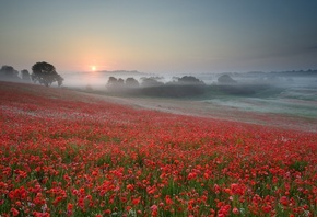 �������, ����, �����, �������, �����, ������, ����, �������, ����