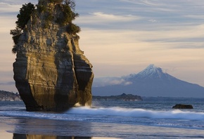 ����� ��������, �����, �����, ����, �����, ����, �����, �������