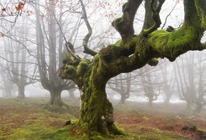 ������, �����, �����, ���, ������, �����, ����, �������