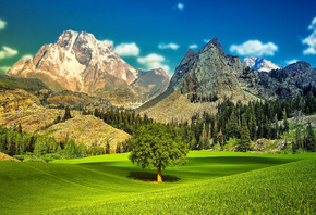 �������, ������, ���, �������, ����, ���, �������, ����, ������, 3 �