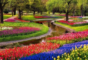 Природа, парк, восход, пруд, деревья, цветы, мускари, синие, тюльпаны, разн ...