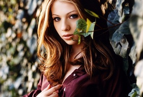 ������ �����������, �������, �������, �����