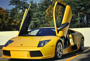 , , , , murcielago