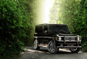 ������, ����, ��������, �����������, �����, �������