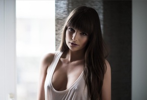 �������, ��������, �����, ������