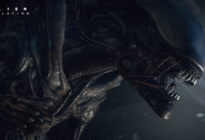 �����, ������