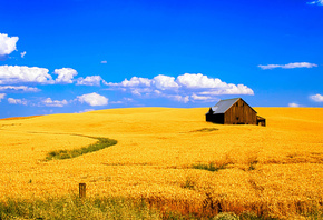 ����, �������, ���, ����, ������, ������