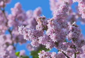 ������, �����, �����, �������, �����, ������, �����