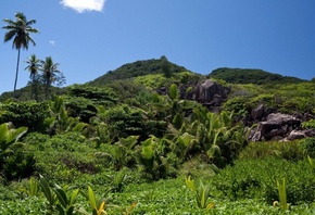Seychelles, �������, �������, ������