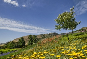 Red Butte Garden, Salt Lake City, Utah, ������������ ���, ���, �����, �������