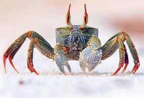 ����, ����, �����, �����, ������, �����, �������