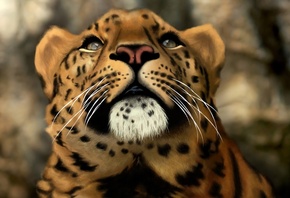 �������, �����, ������, 3D, �������