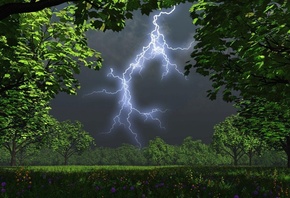 ����, �����, ������