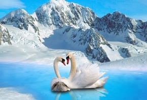 ������, ����