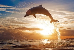 ��������, ��������, ����, �����, ������, ������