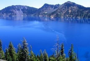 ������, ������, �����