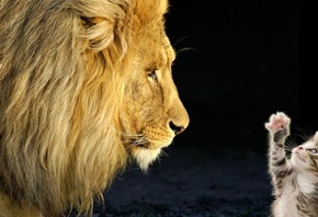 ������, �������