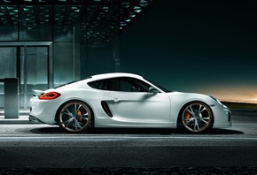 �����, �����, ��������, ��������, ������, �����