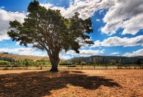 ������, � ����� ������