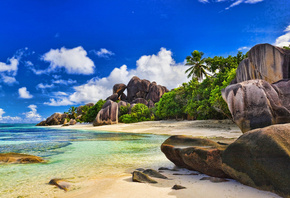 сейшельские острова, тропики, пляж, природа, лето, индийский, океан, пальмы ...