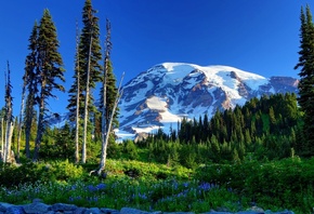 , , , , Mount Rainier, , , , 